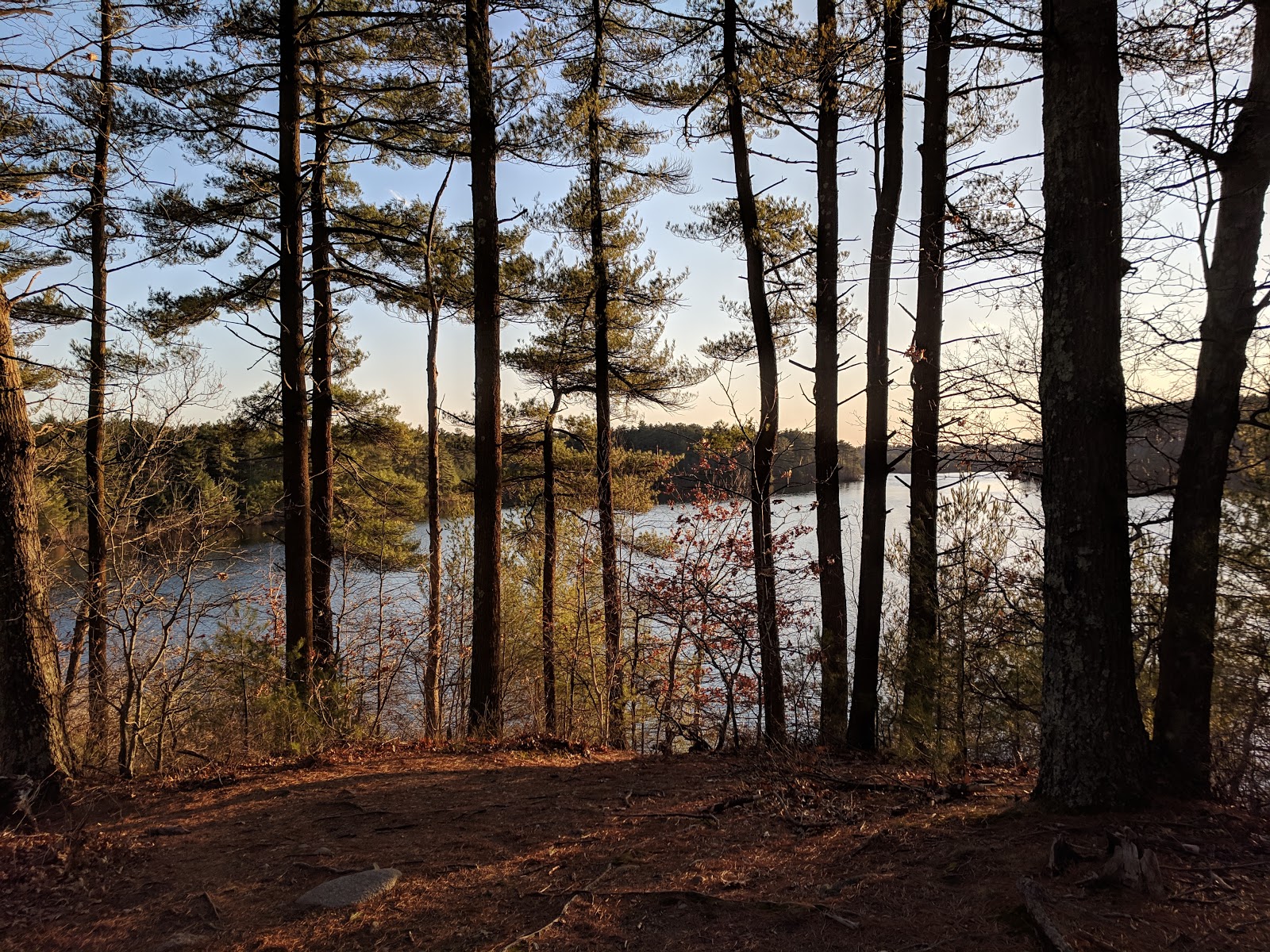 Massasoit State Park