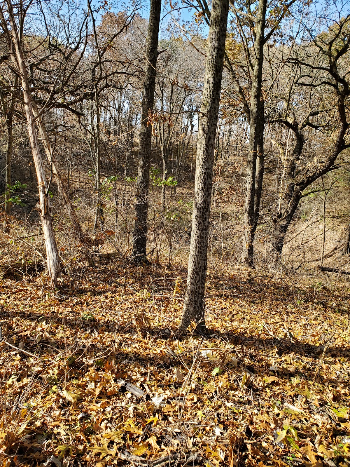 Sandpiper Recreation Area