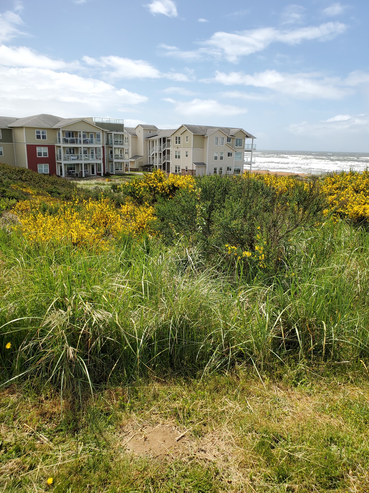 Westport Recreation Park