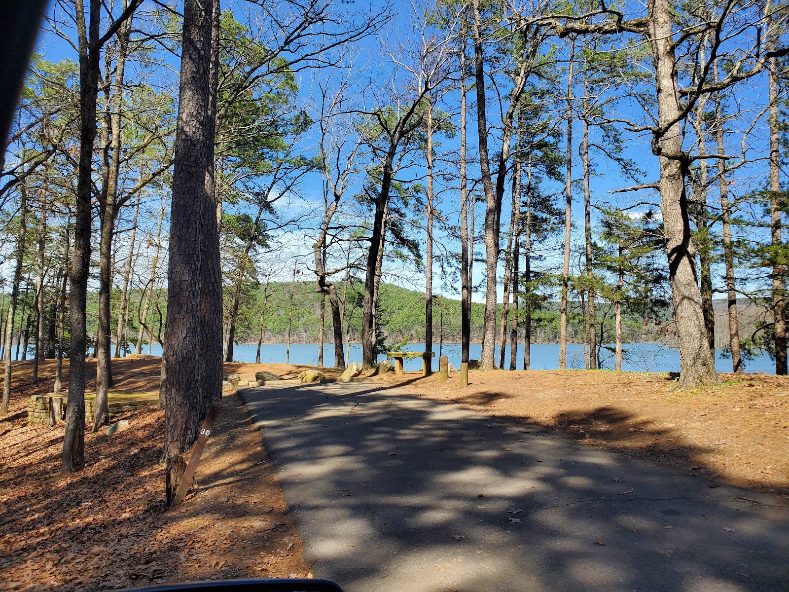 Cove Lake NF Campground