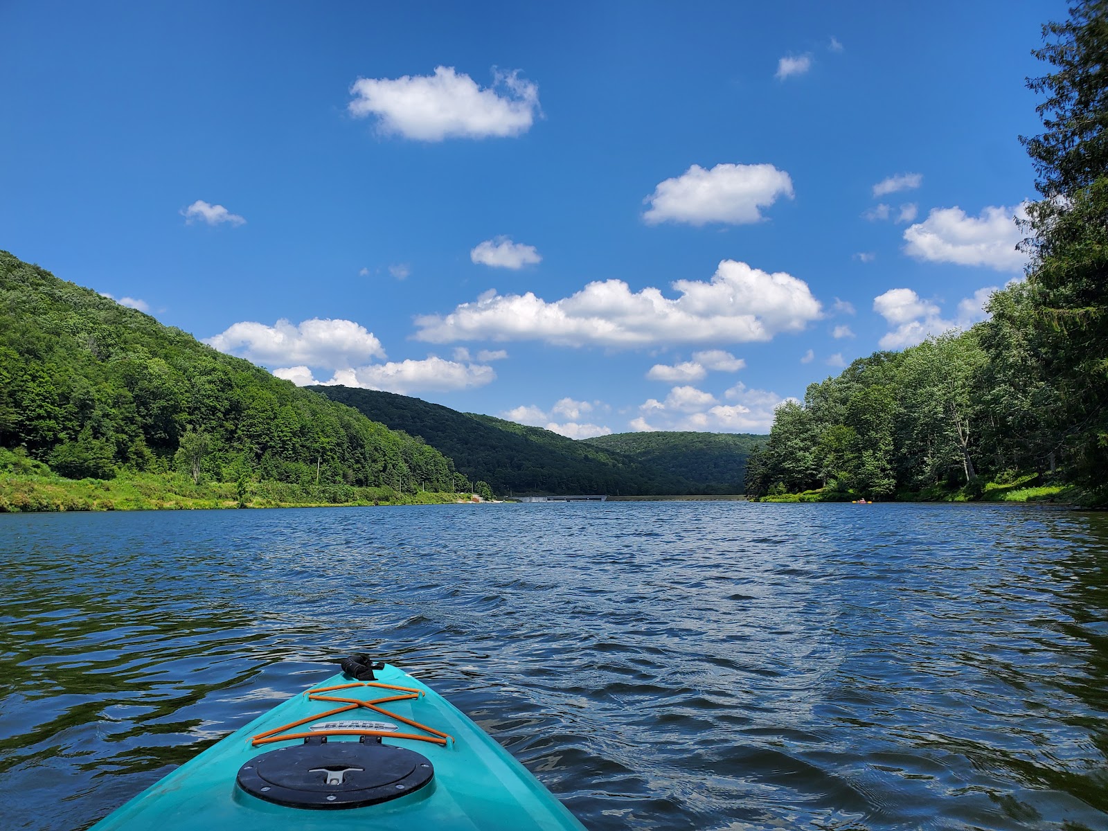Lyman Run State Park