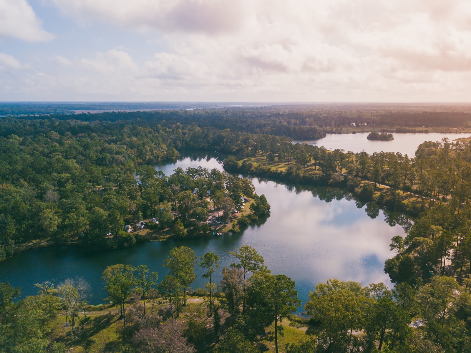 Charleston Woodlands