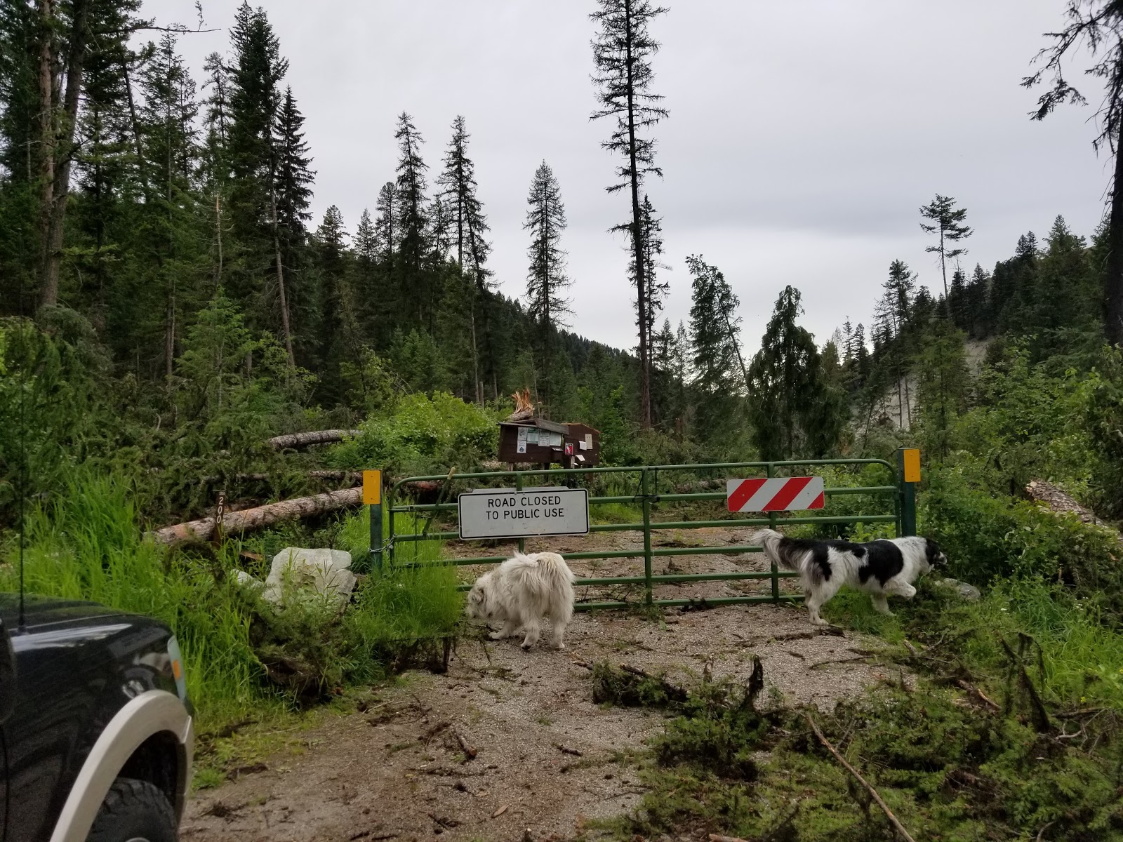 Beaver Lake Campground