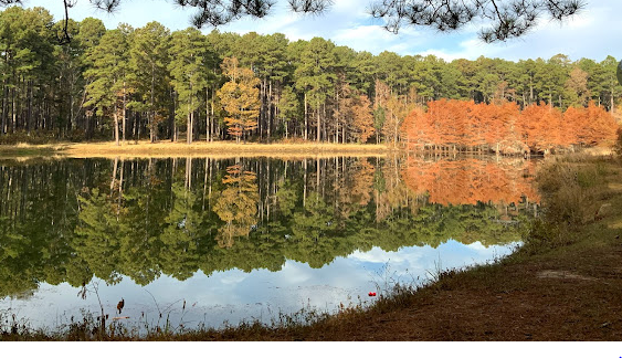 Gum Springs Horse Campground