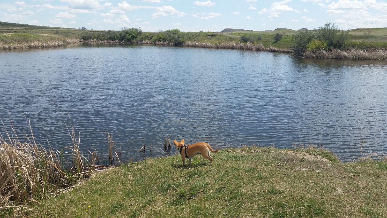 Sather Lake Campground