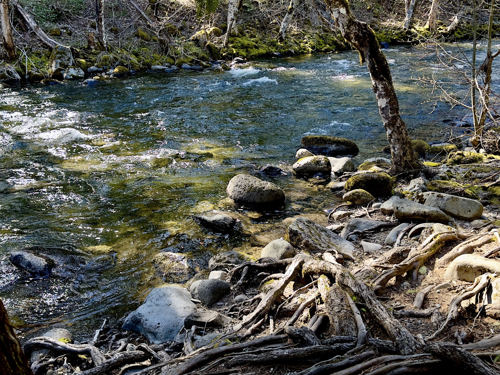 Trout Lake Creek Campground