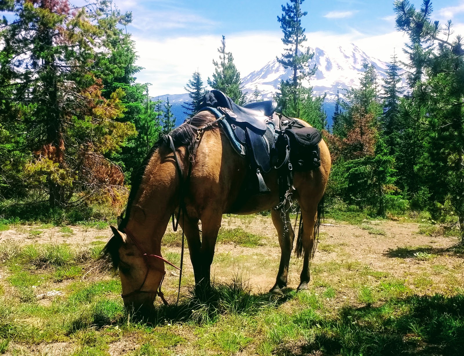 Keenes Horse Campground