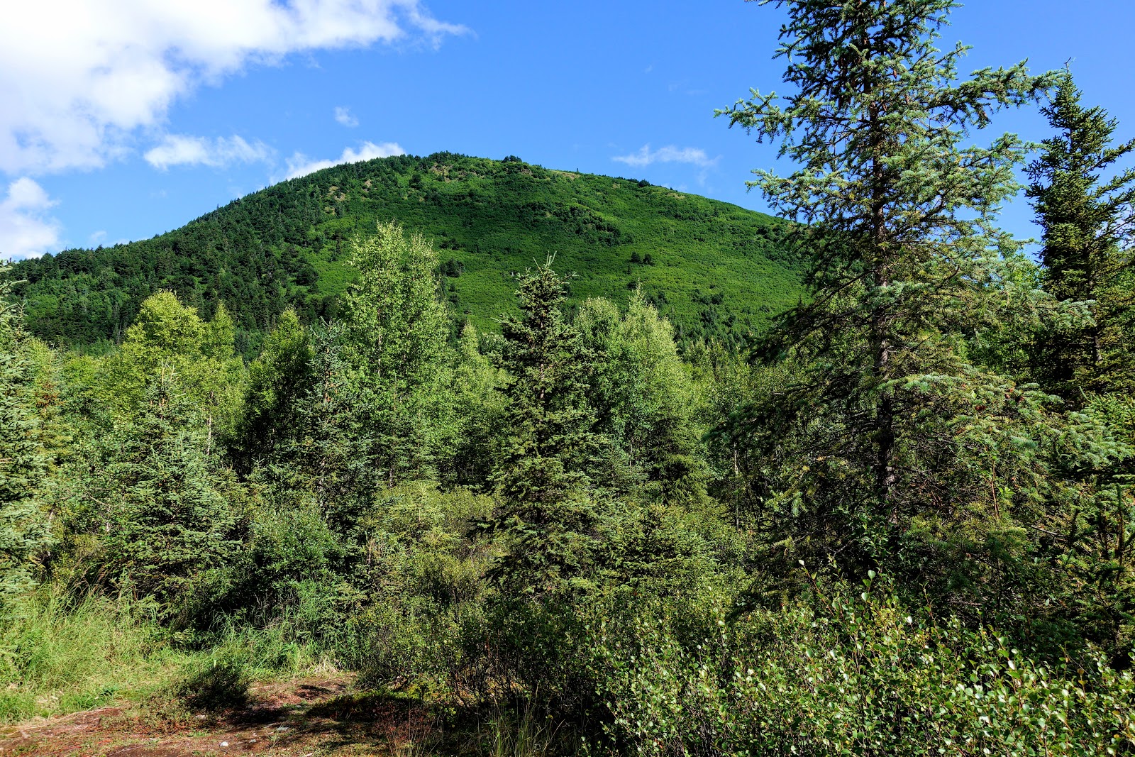 Bings Landing State Recreation Site