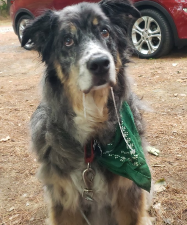 Country Aire Campgrounds