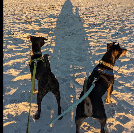 Carrabelle Beach RV Resort