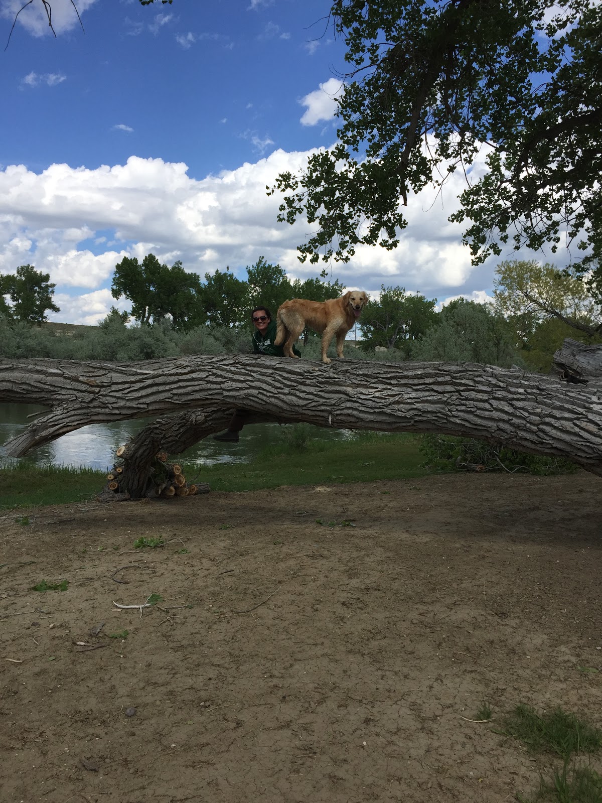 Rivers Edge RV and Cabins Resort