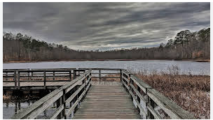 Pocahontas State Park