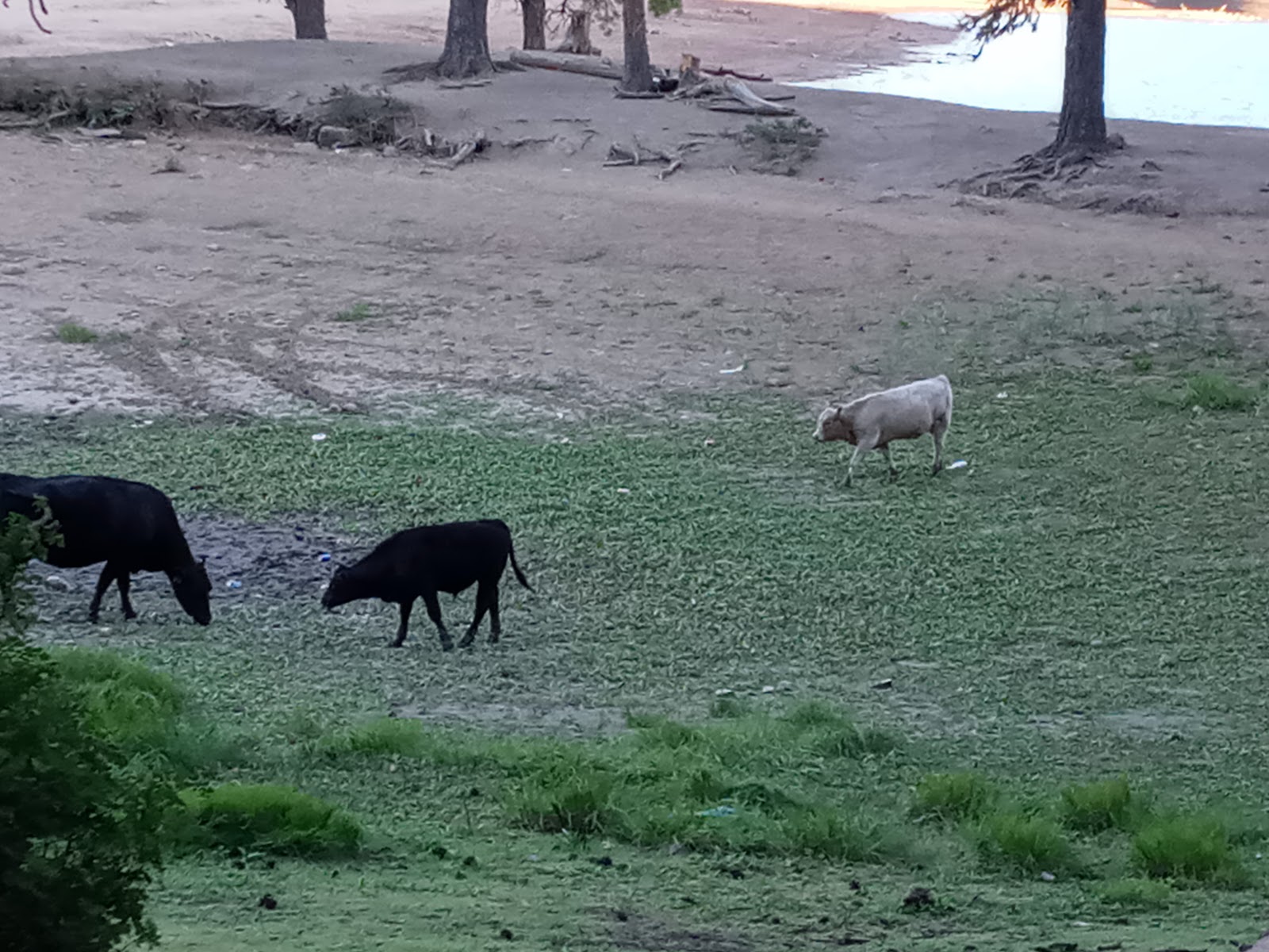 Peninsula Campground