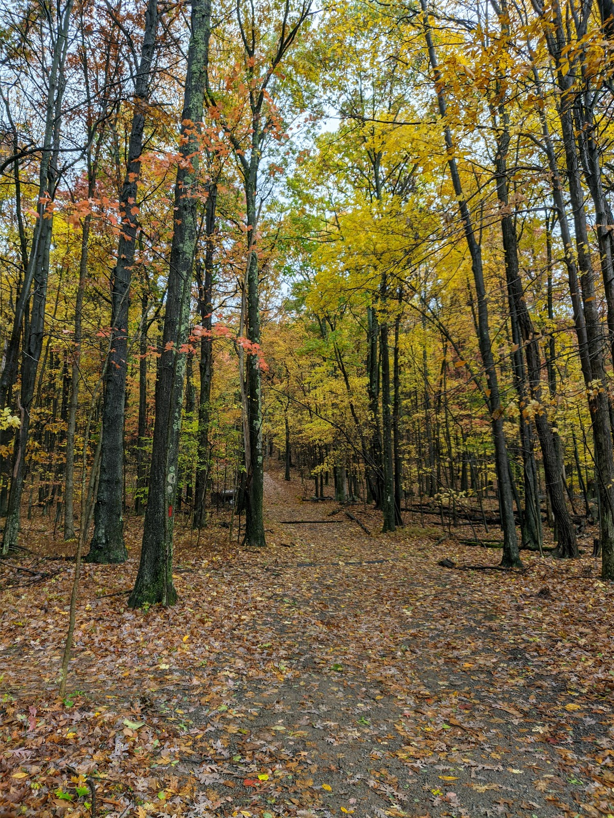 Deep Creek Lake State Park