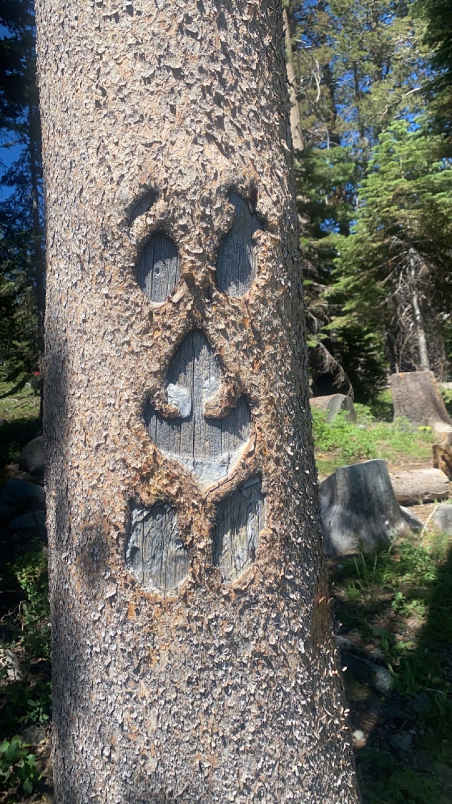 Goose Lake Campground