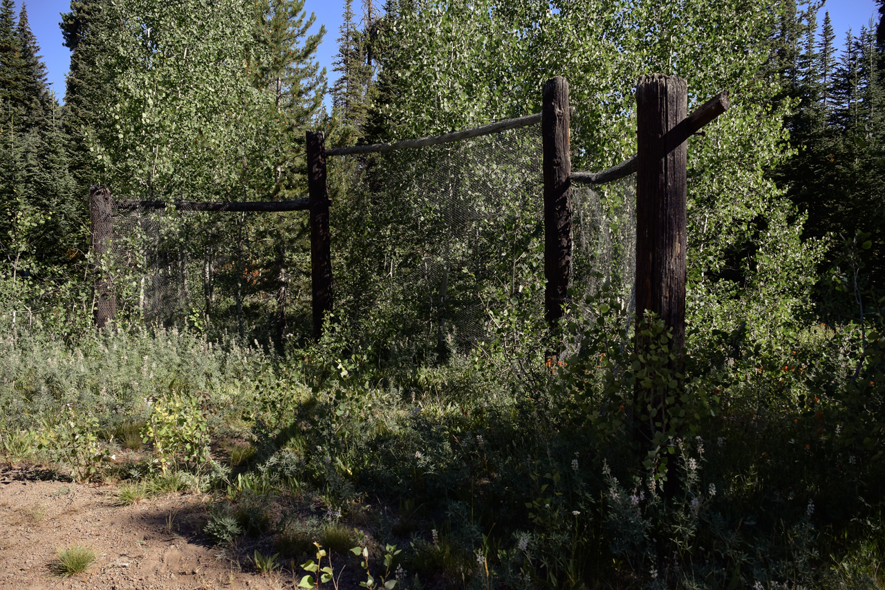 Father and Sons Campground