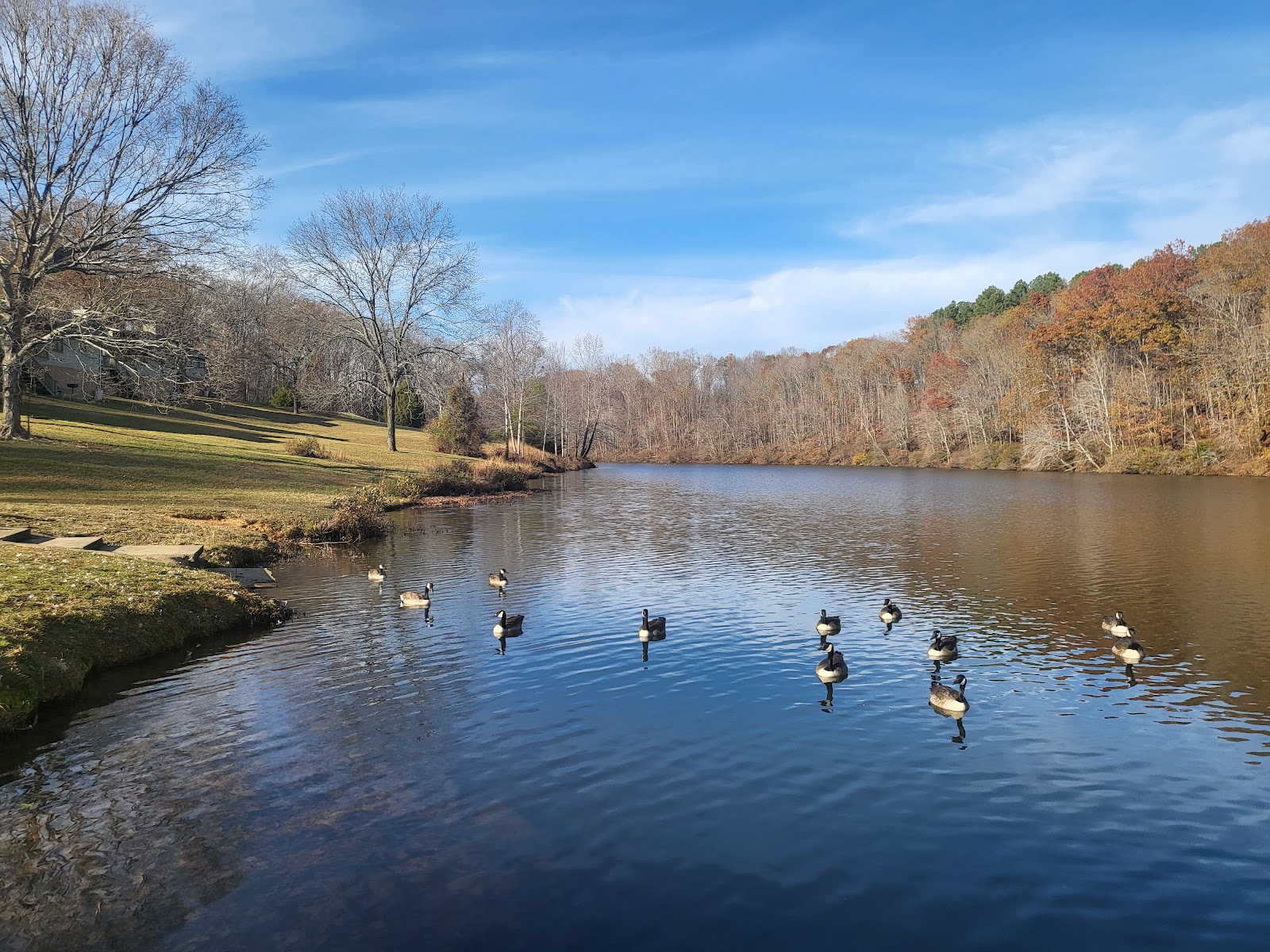 Campground 1 - David Crockett State Park