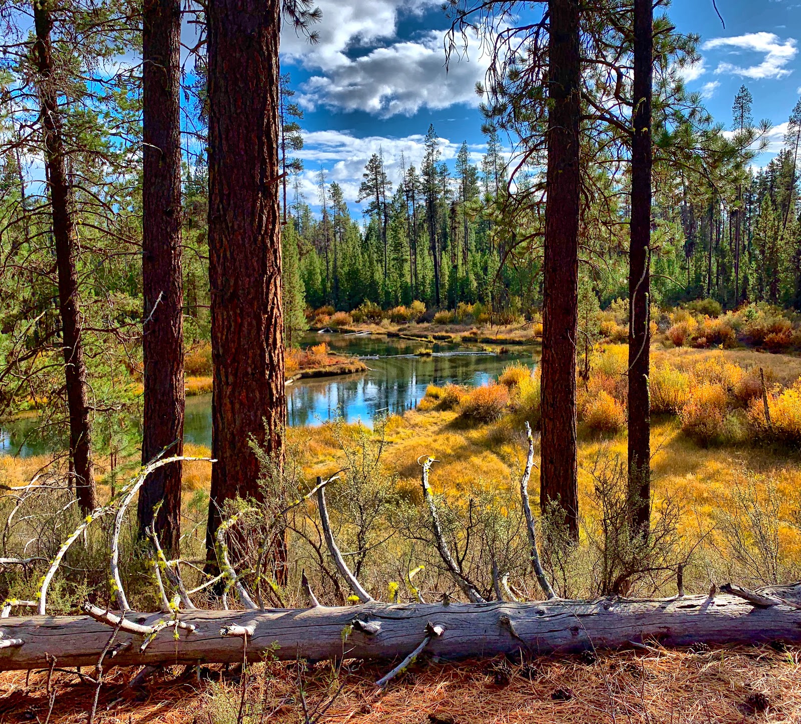 Fall River Campground