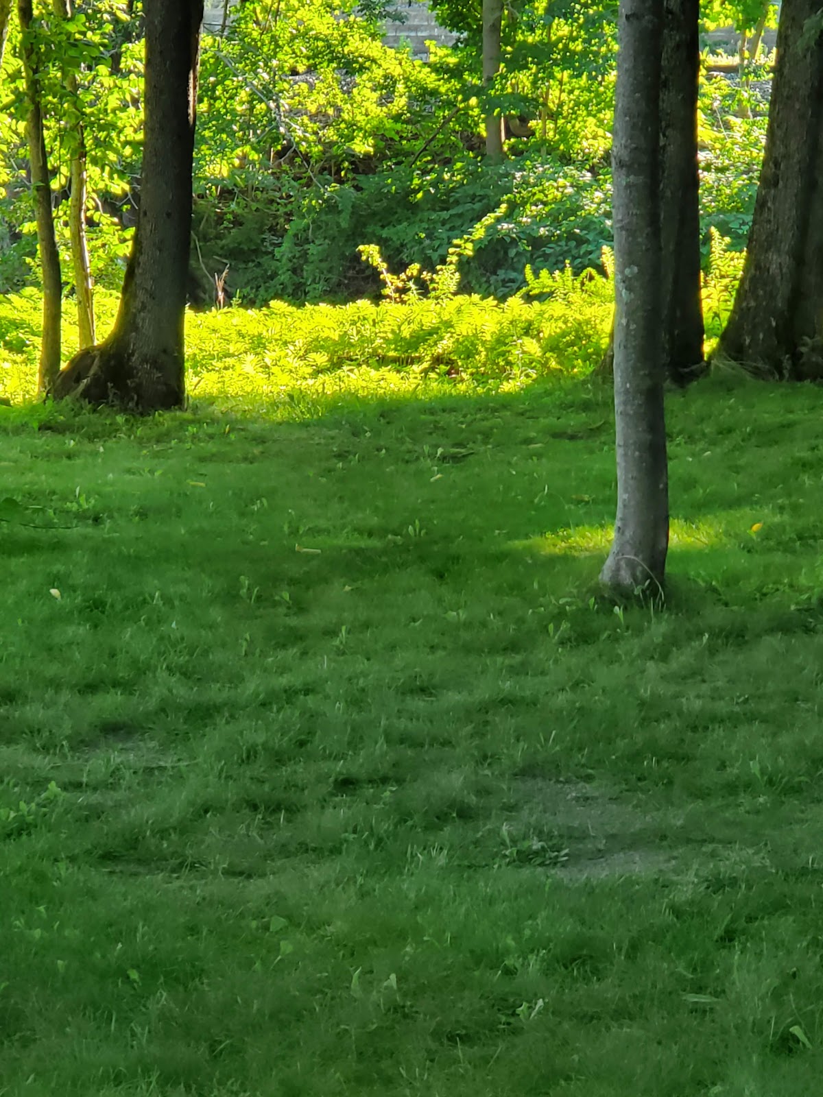 Foggy Bottom campground and marina