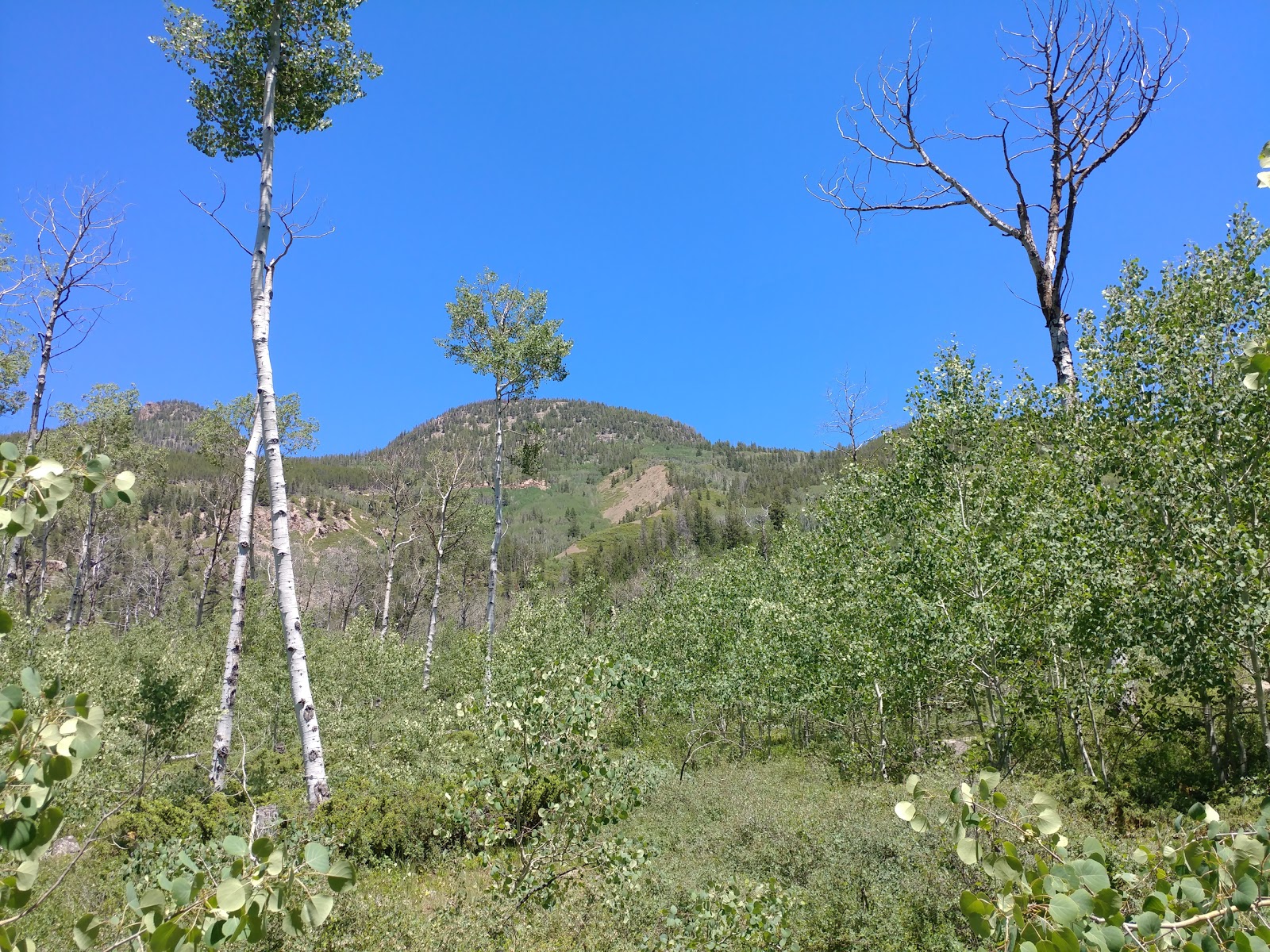 Iron Mine Campground