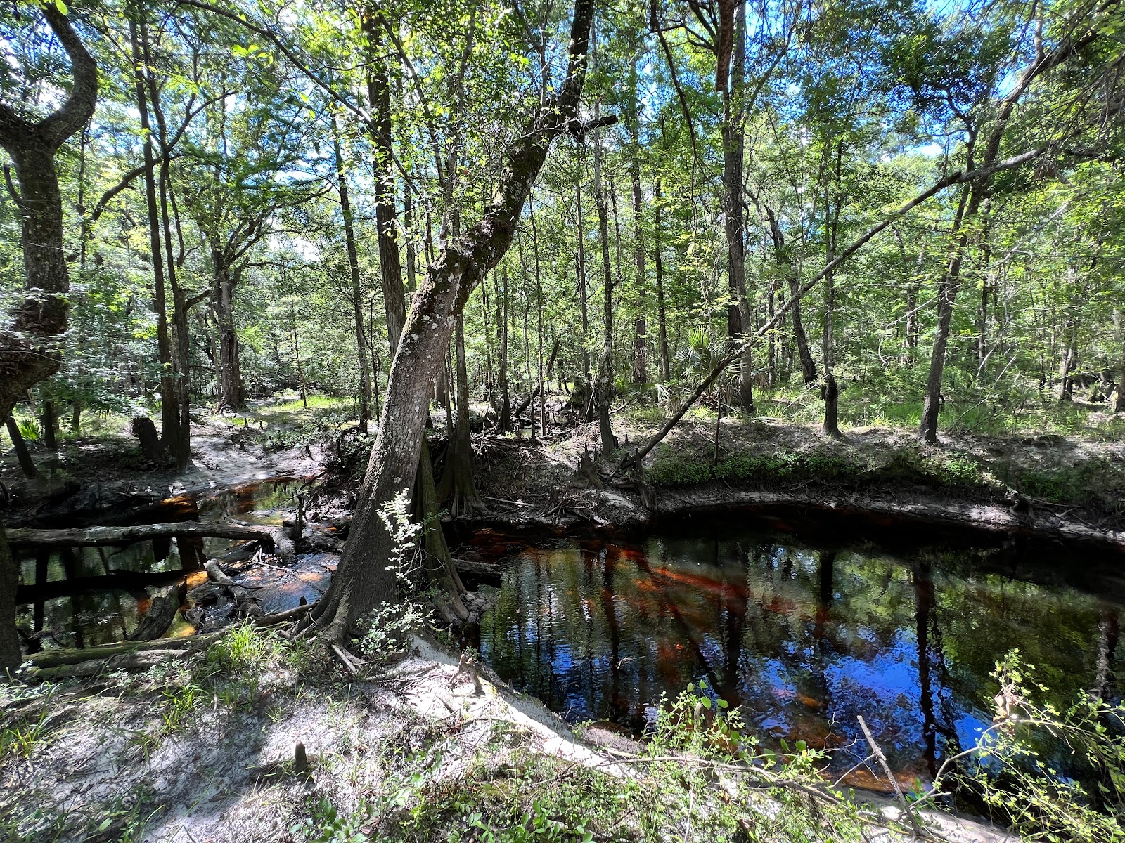 Jennings State Forest - Main Office