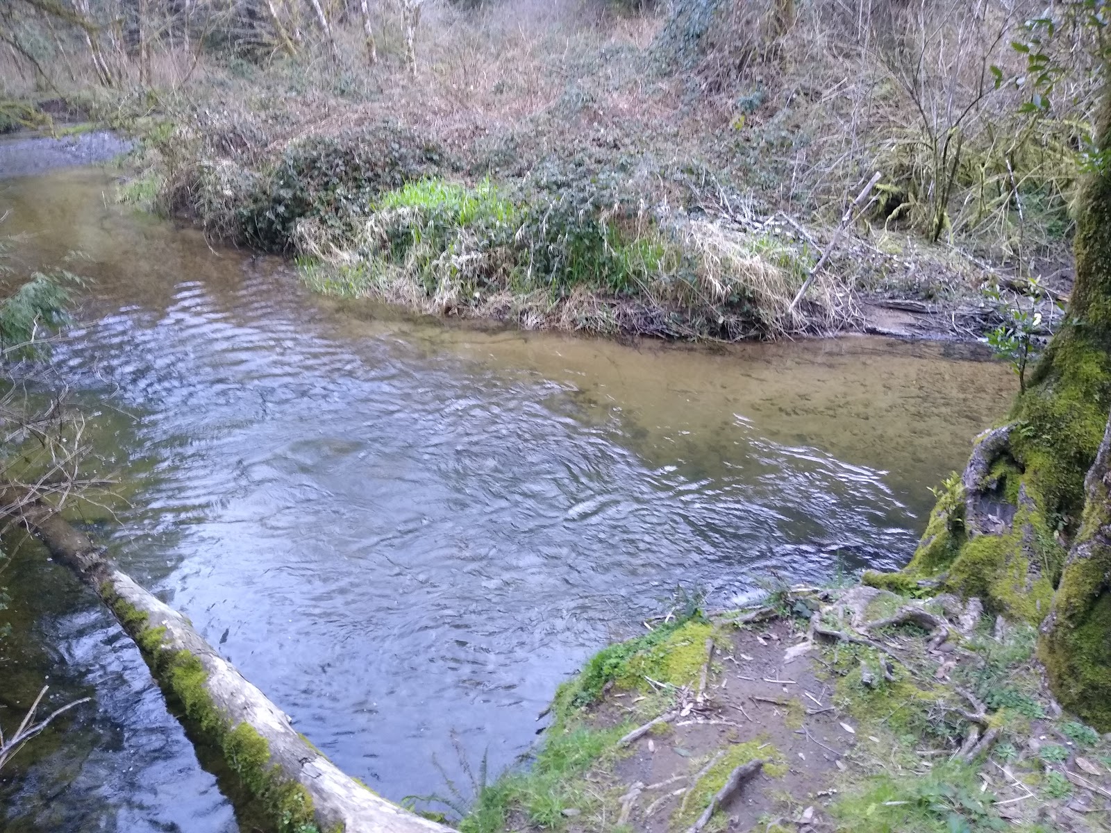 Park Creek Campground