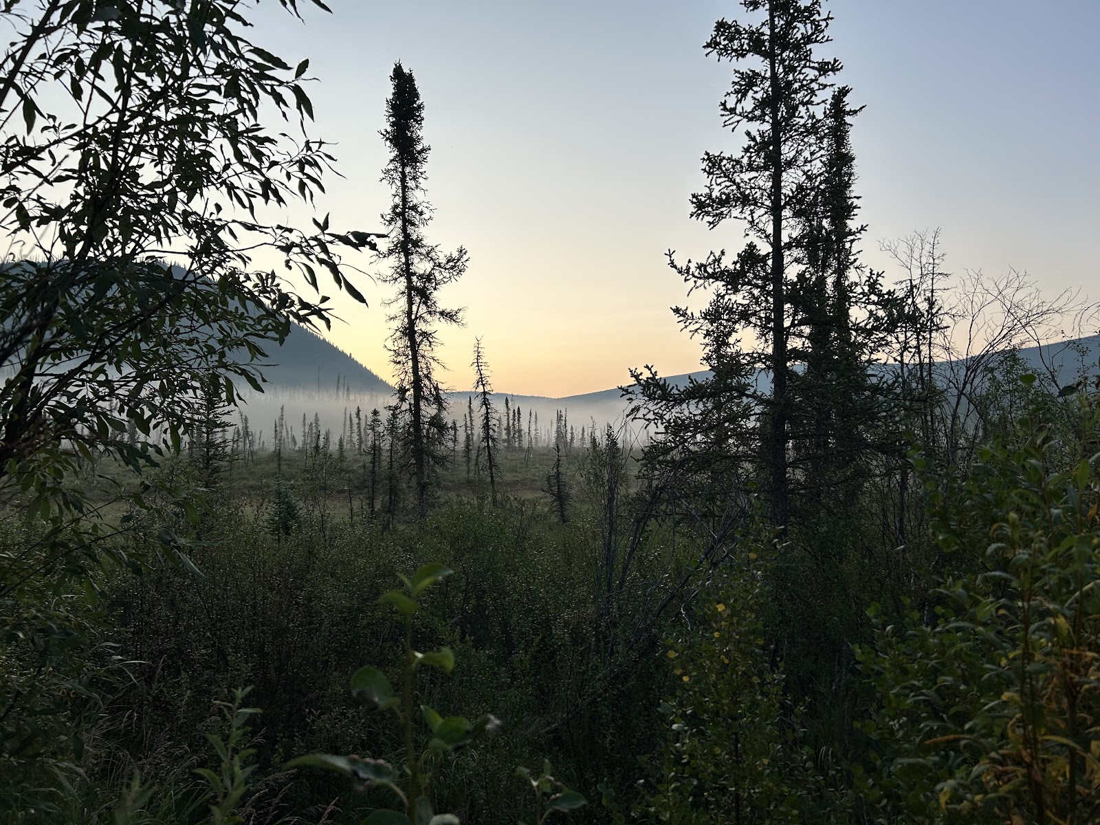 Walker Fork Campground