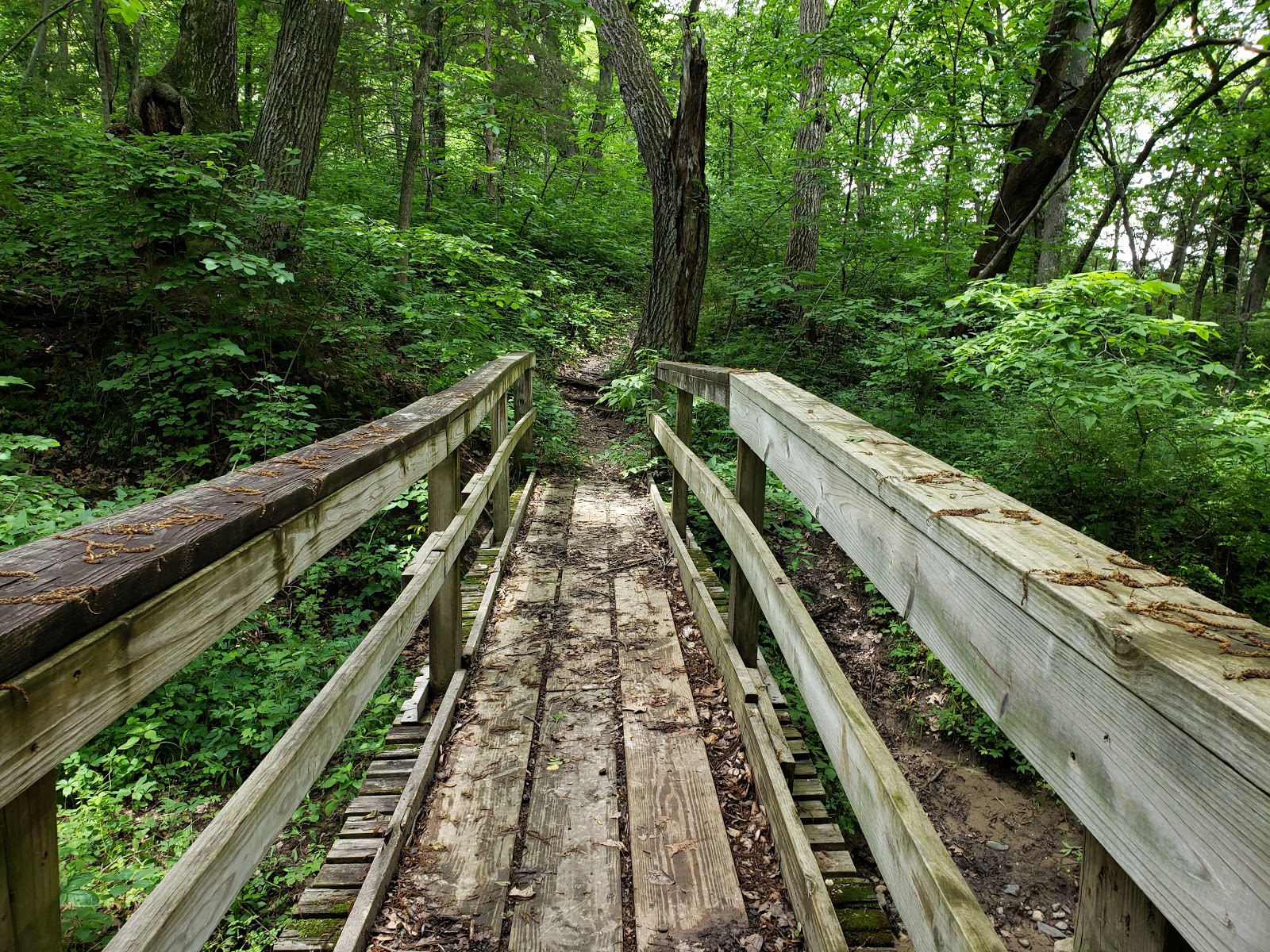 Nodaway Valley County Park