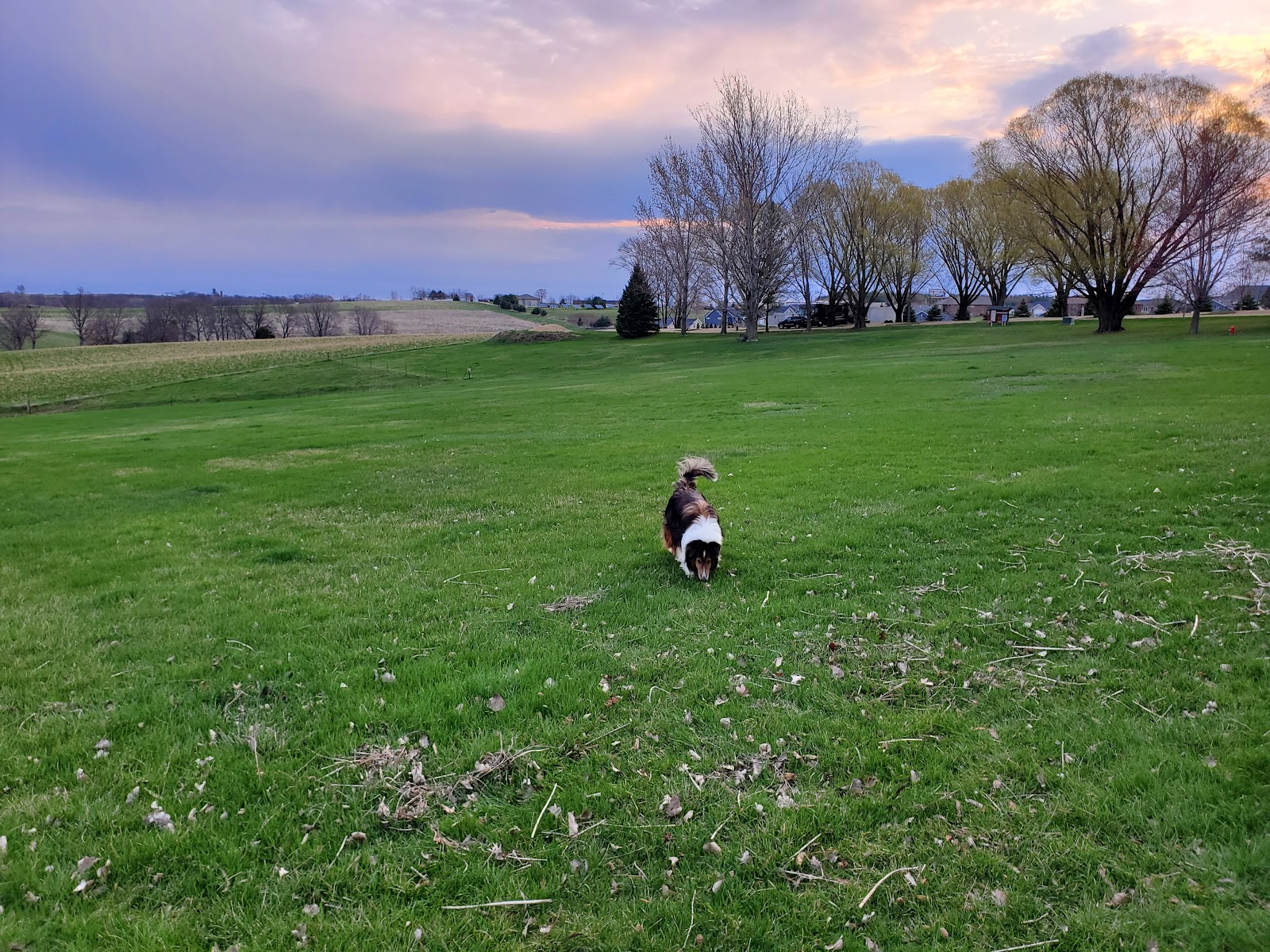 Rustic Barn RV Campground