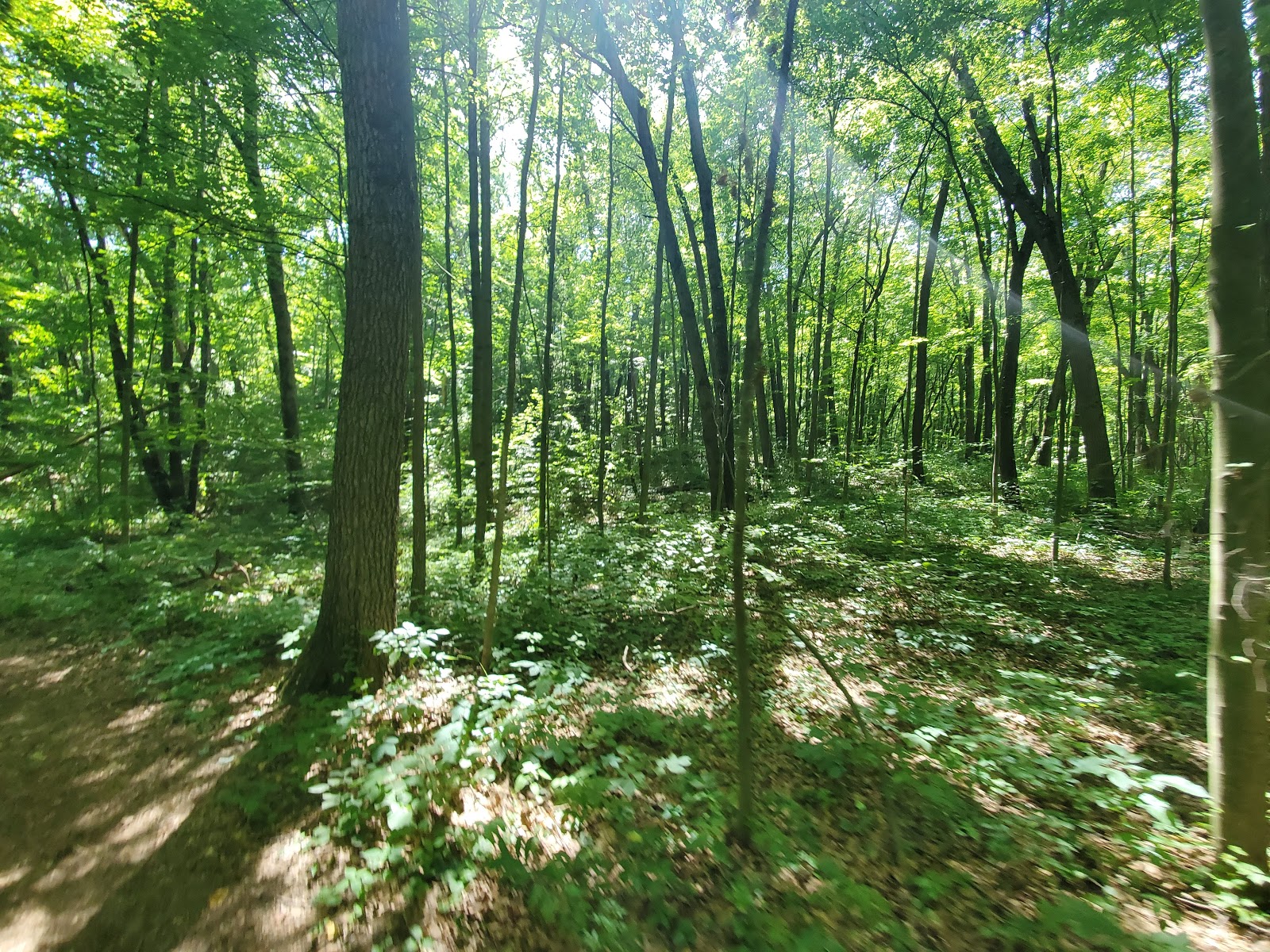 Brighton Recreation Area