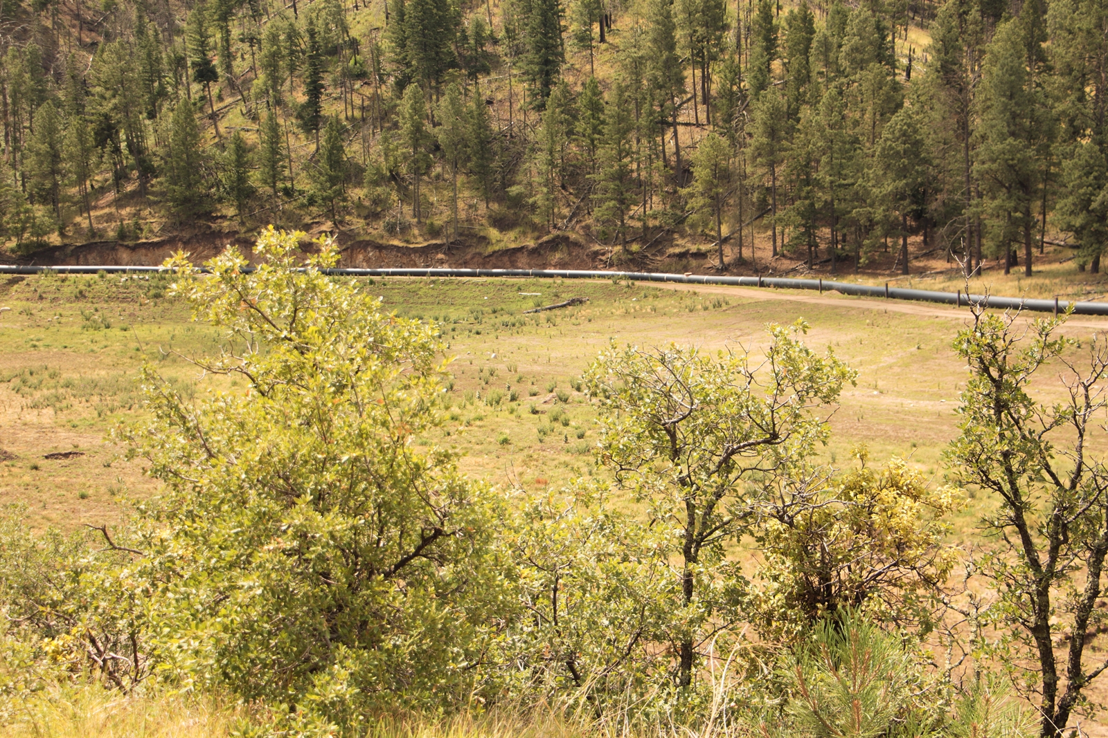 Upper Bonito Dispersed Rec Area