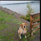 Louis Rasmussen RV Park