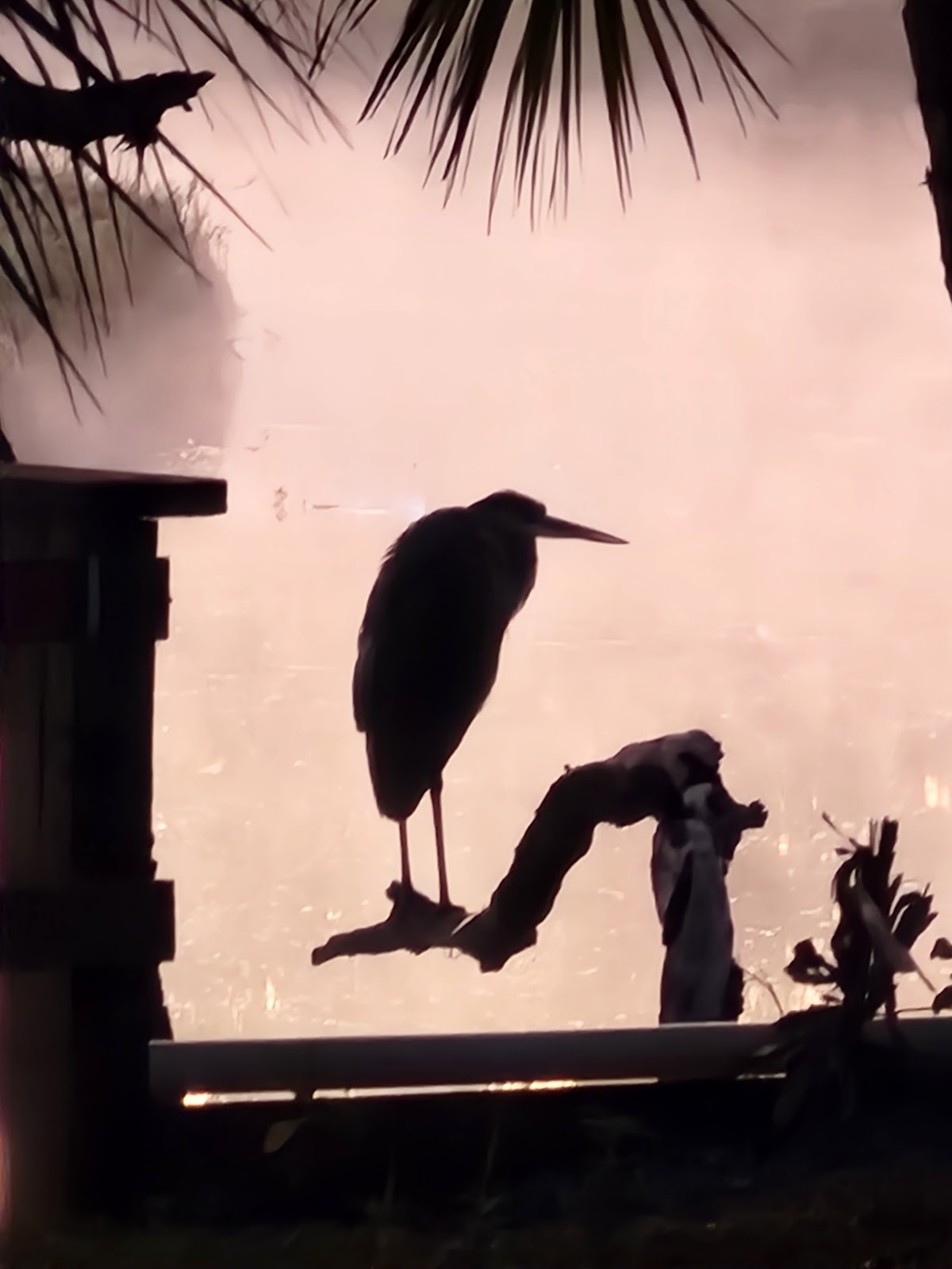 Camp Venice RV Resort