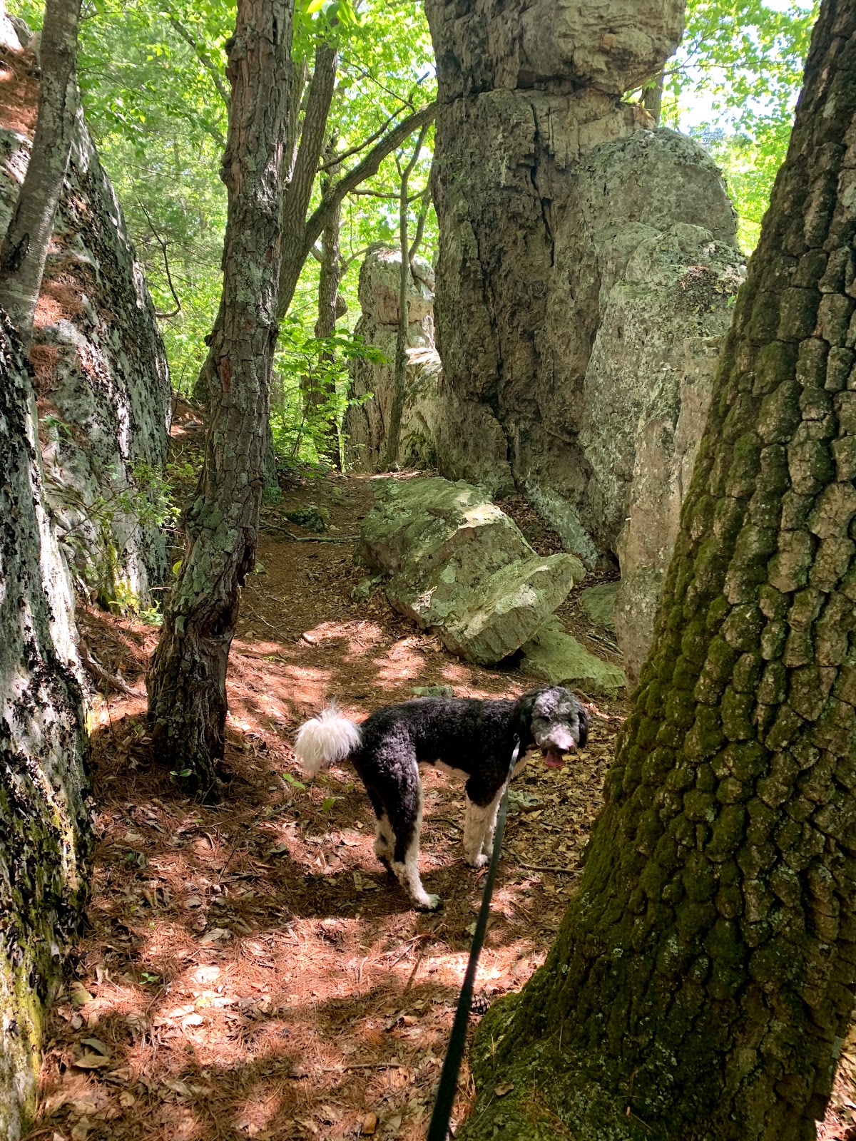 George Washington/Trout Pond