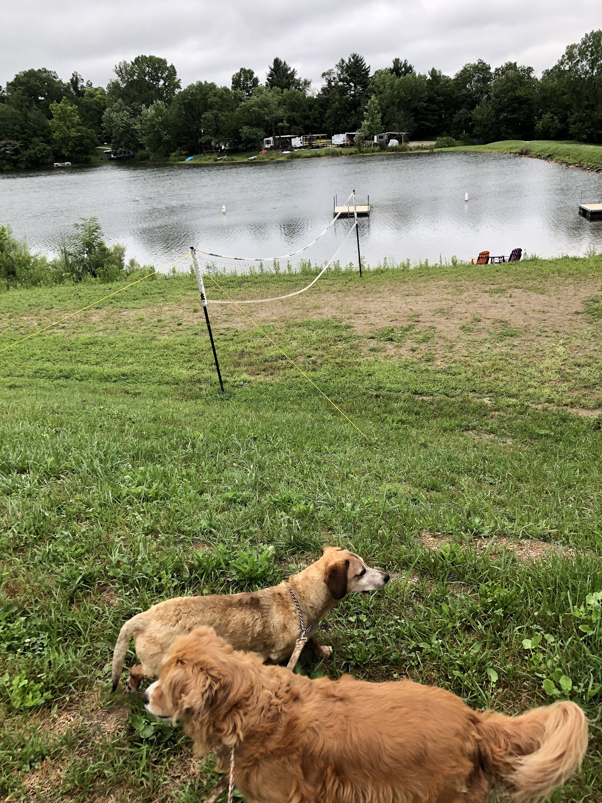 Lake In the Pines Campground