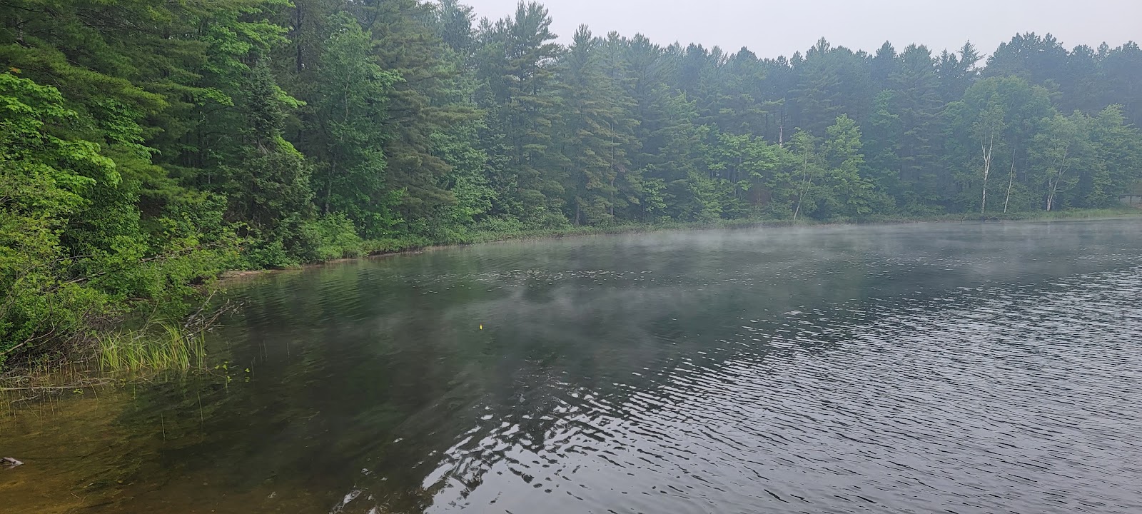 Perch Lake SF Campground