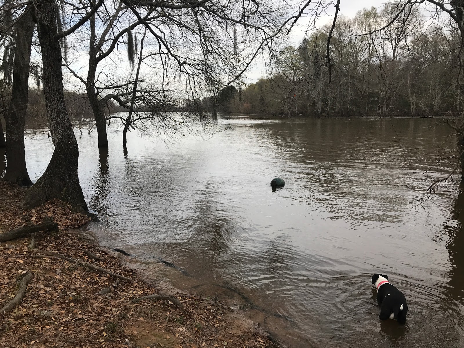 Prairion Bayou Recreation Area
