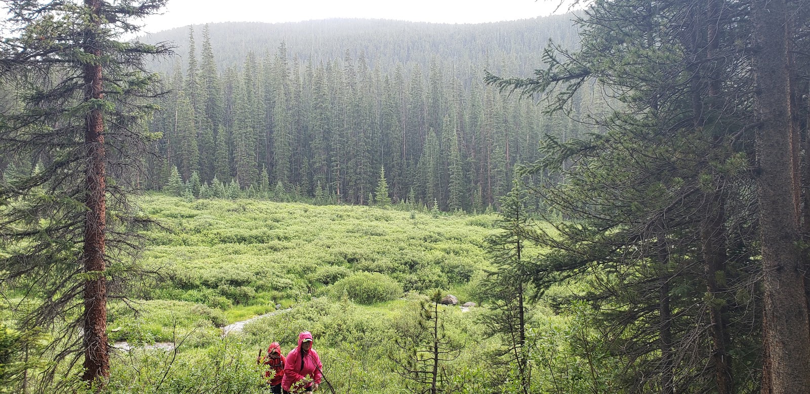 Gold Creek Campground