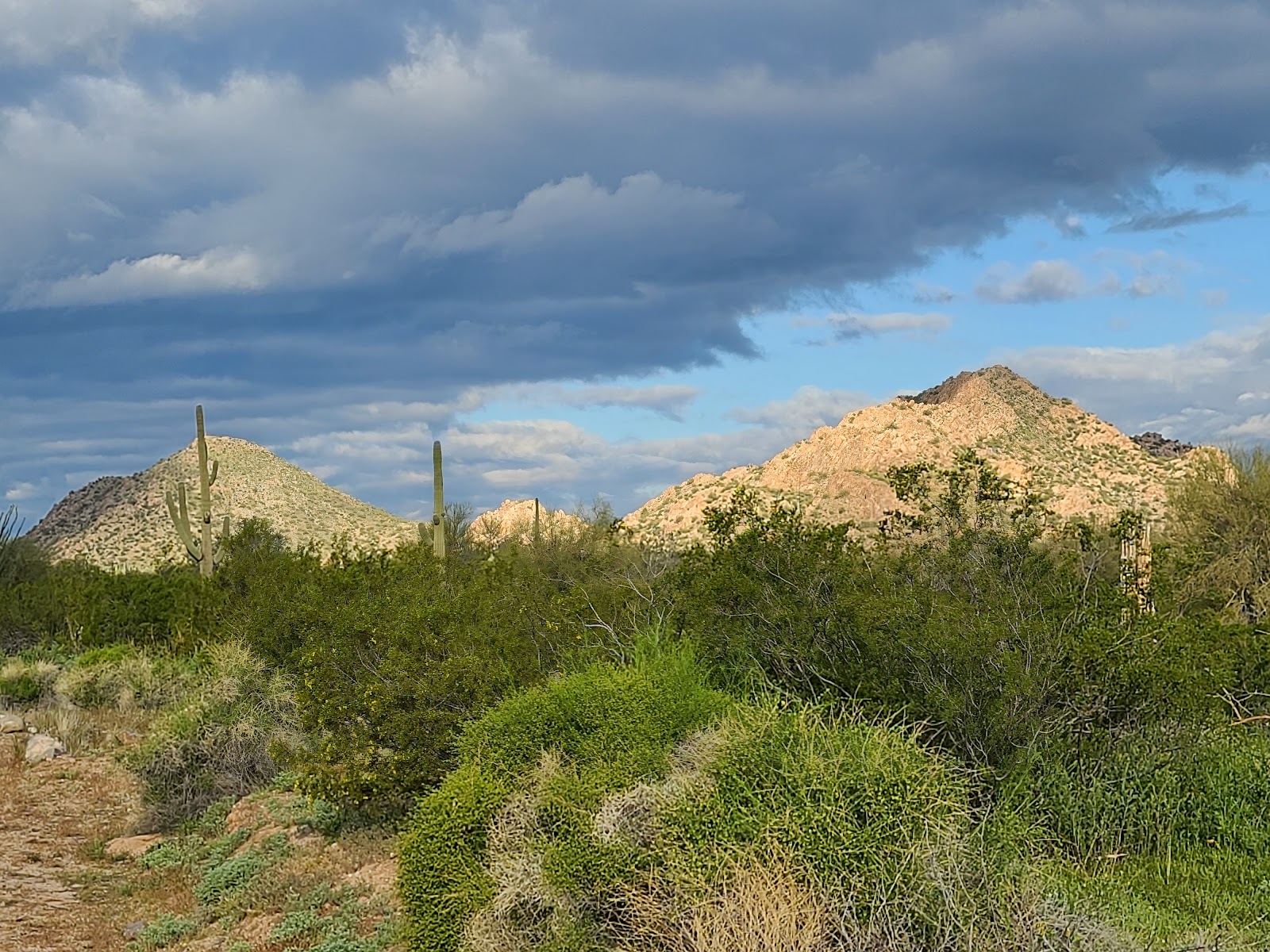 Pinal County West Pinal Park