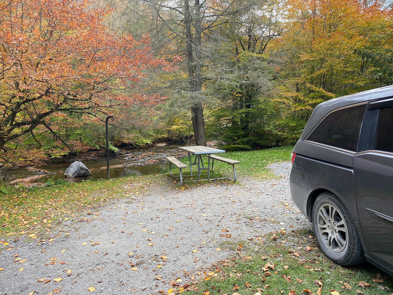 Laurel Fork NF Campground