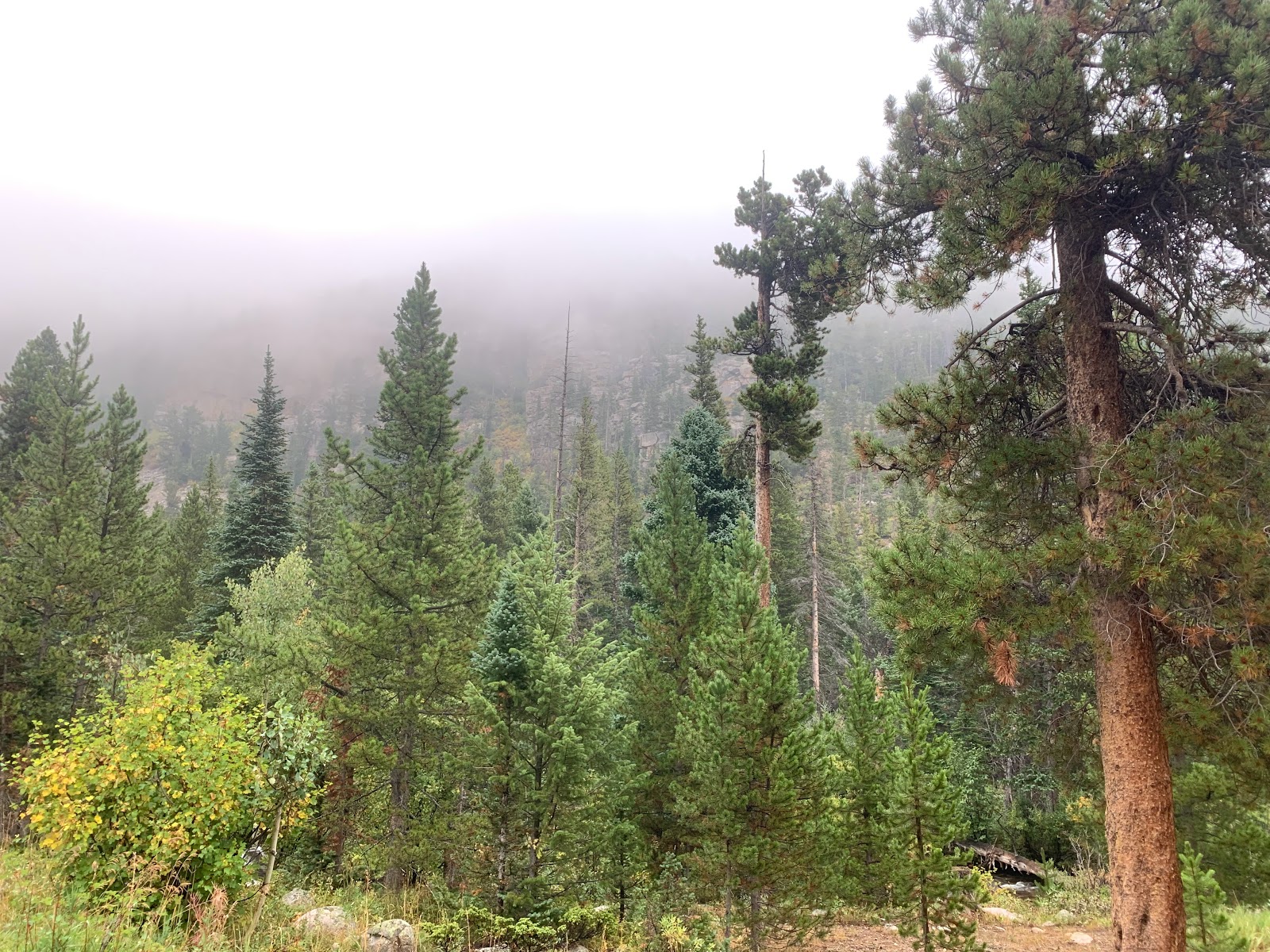 Camp Dick Campground