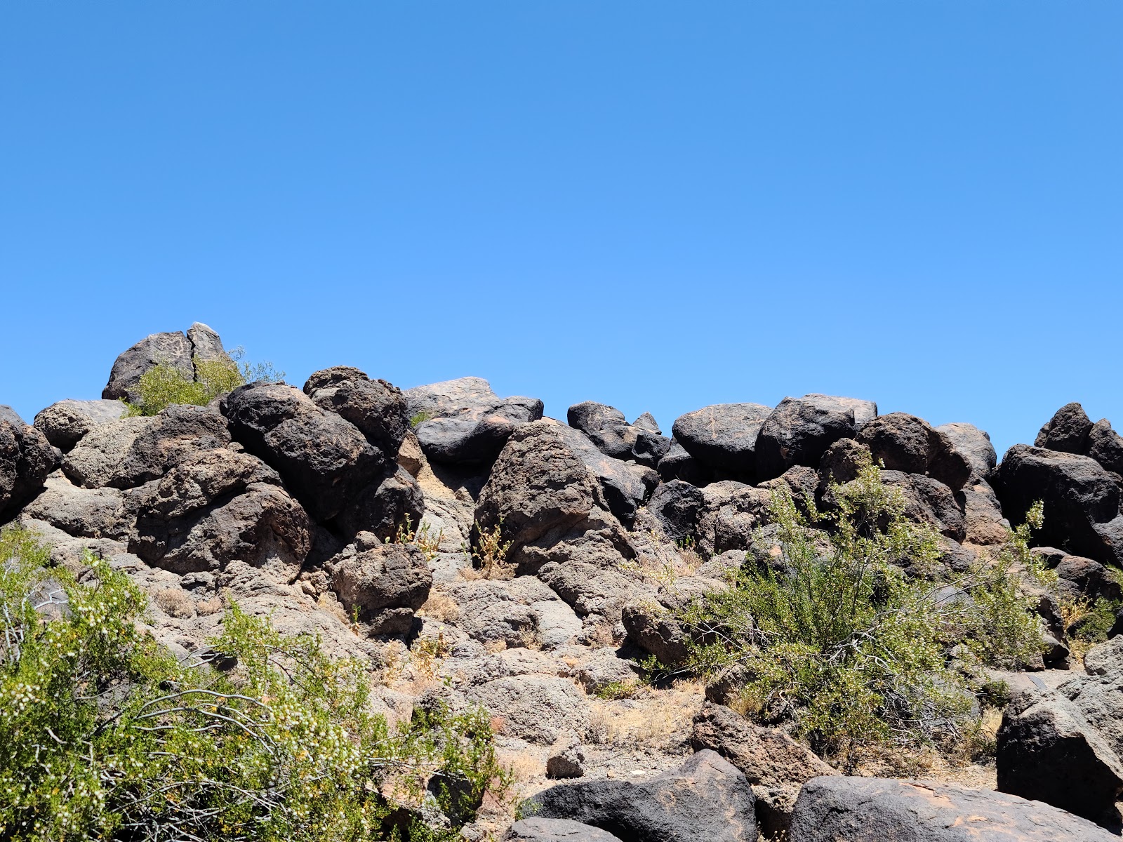 Painted Rock Petroglyph Campground