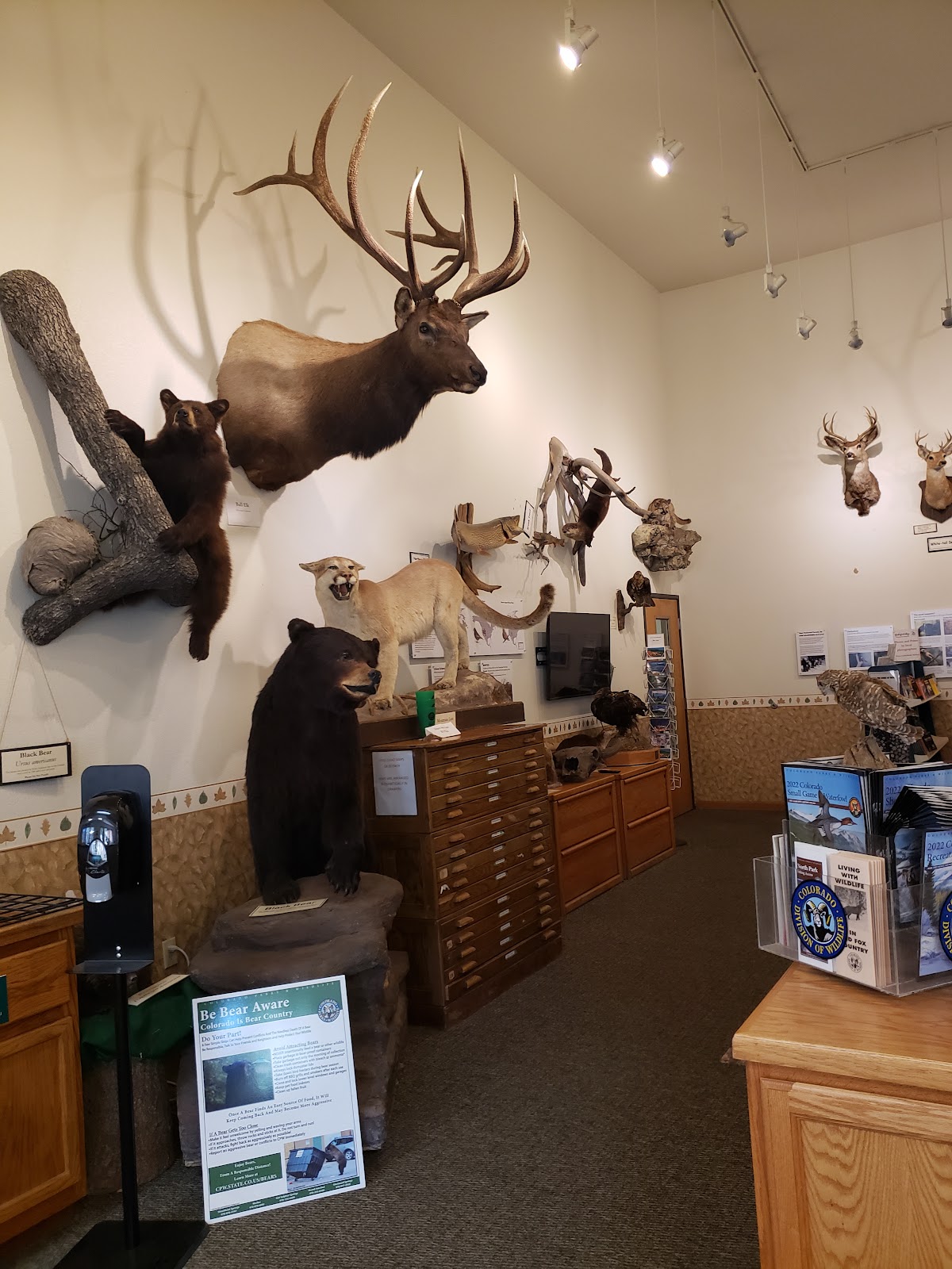 Hahns Peak Lake Campground