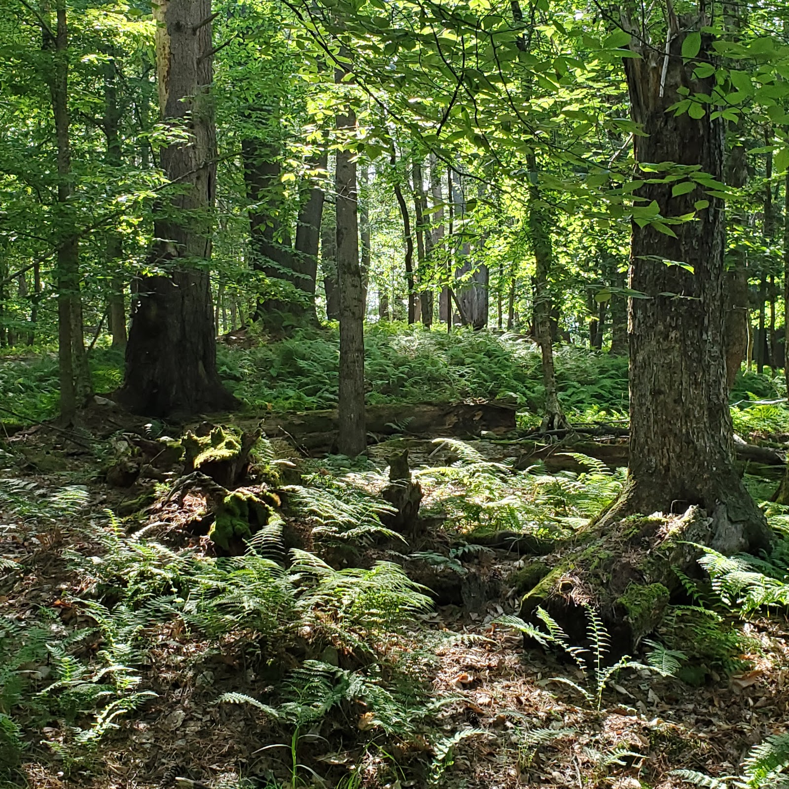Happy Days Campground