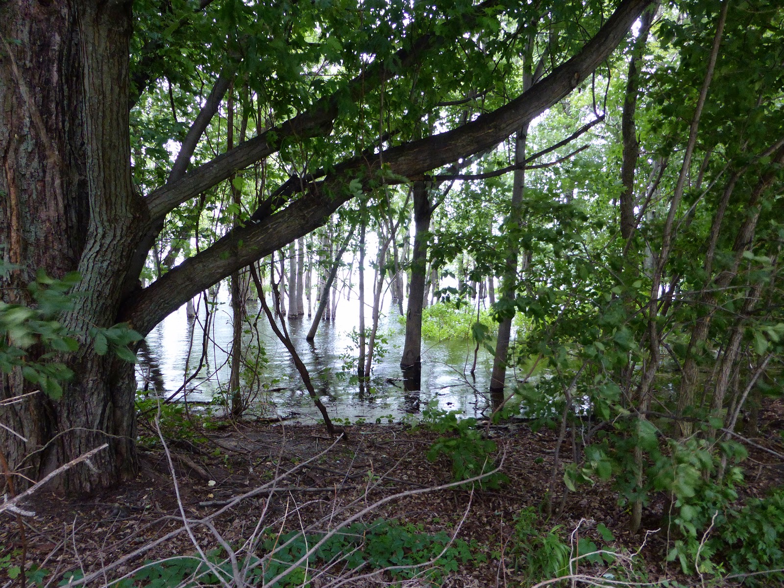 North Hero State Park