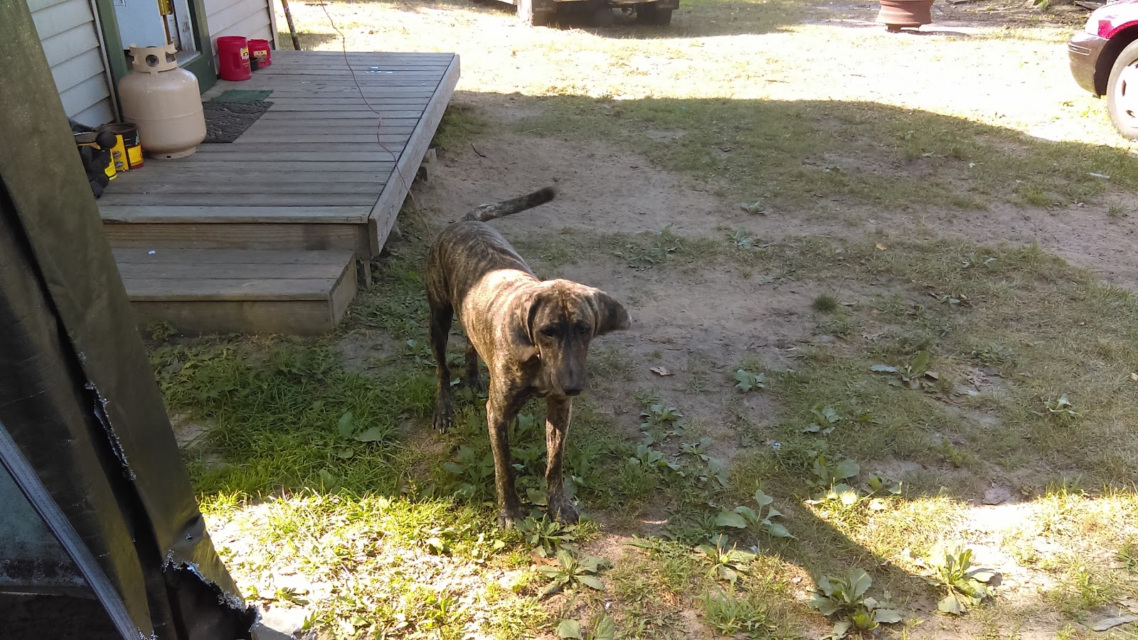 Great Circle Campground