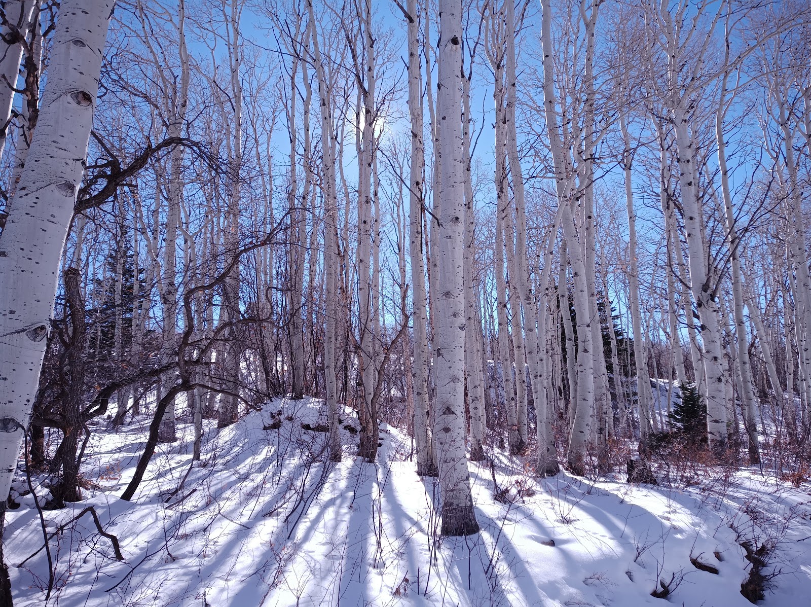 Hay Press Campground