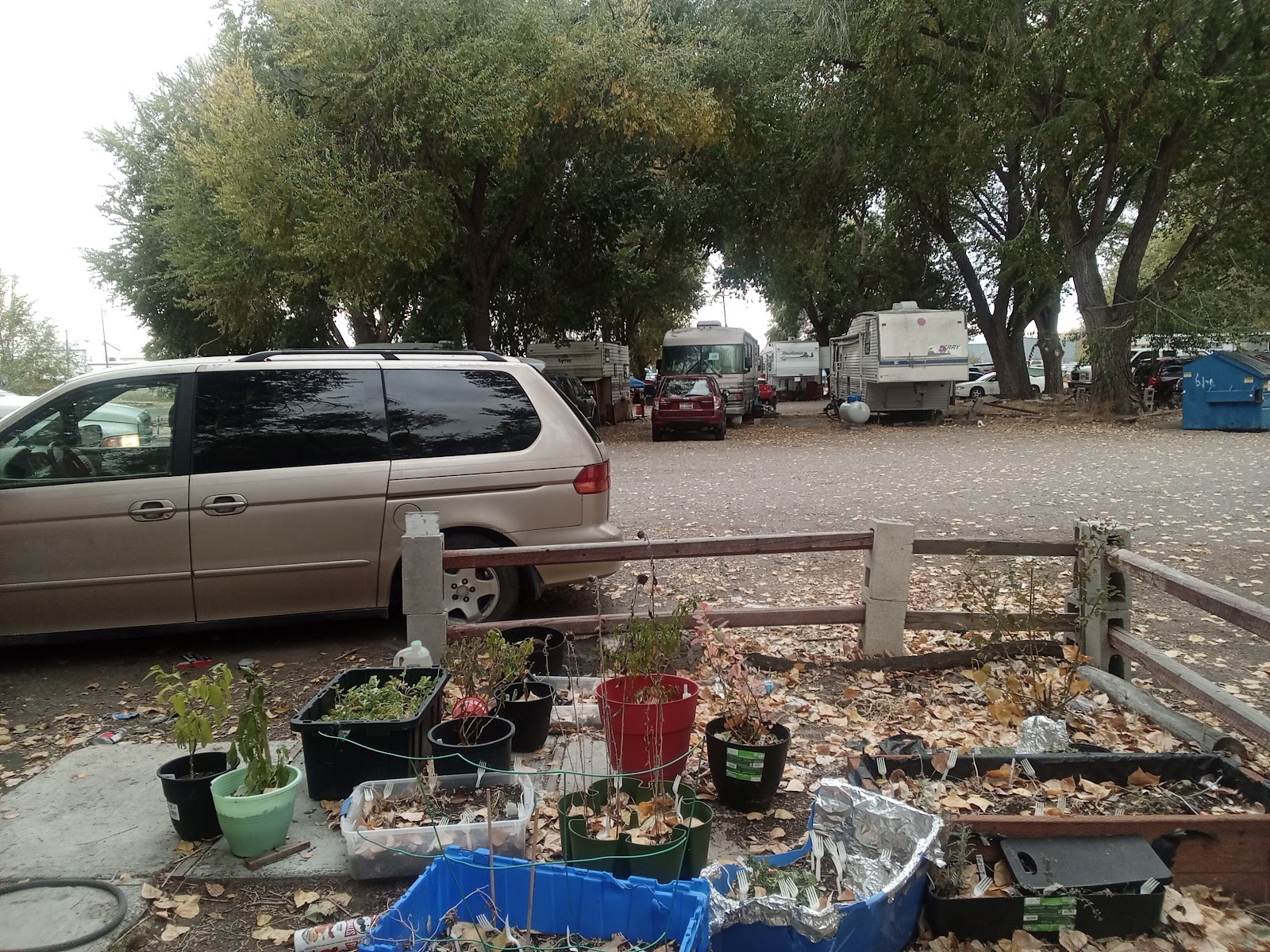 Cottonwood Campground