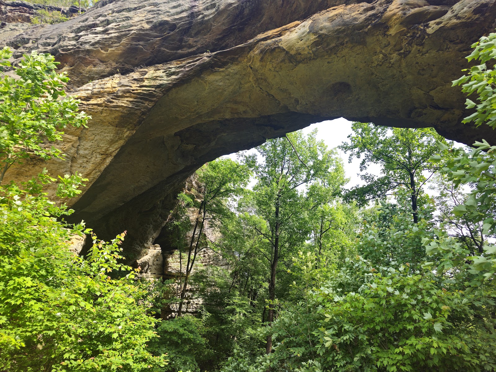 Daniel Boone National Forest