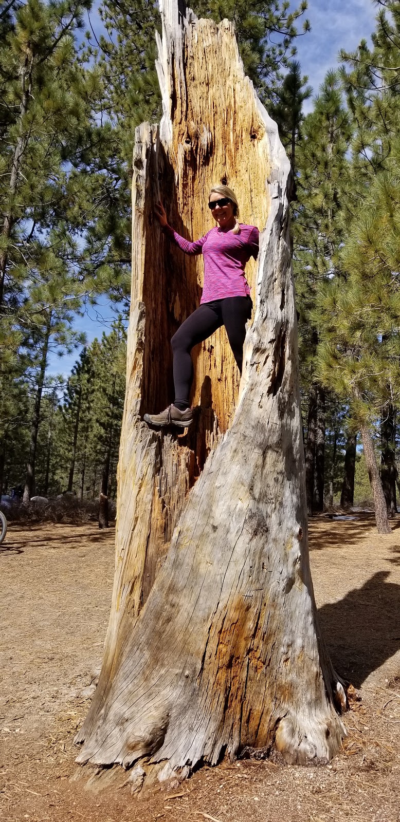 Valle Vista Campground